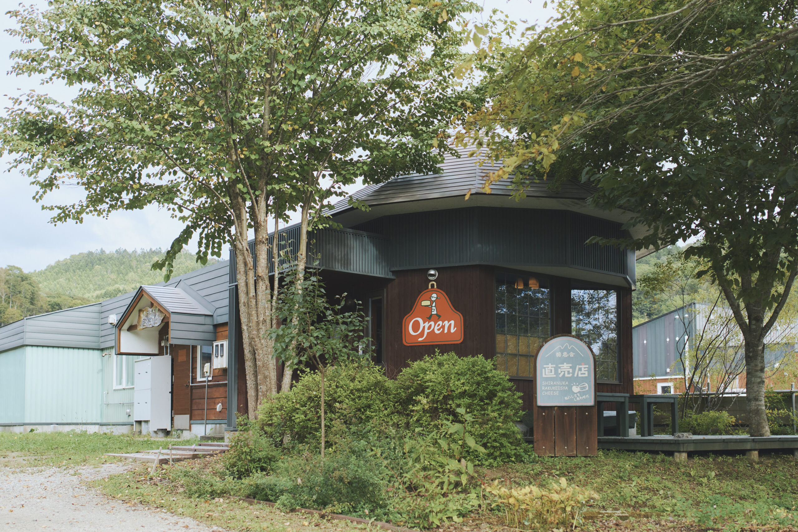 spot-main-image